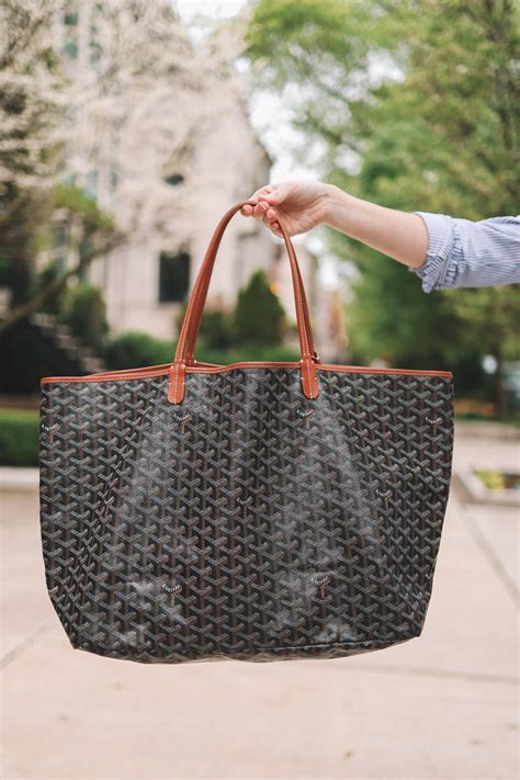 goyard or louis vuitton.